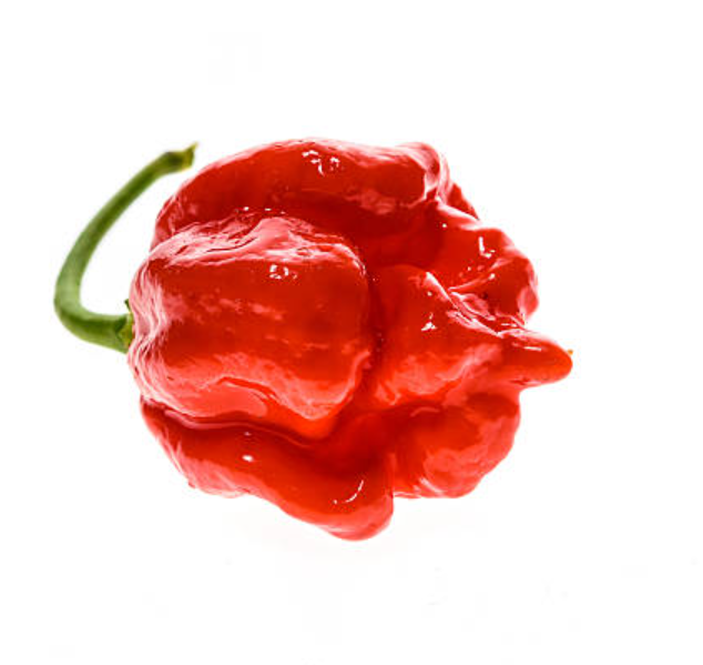 Moruga