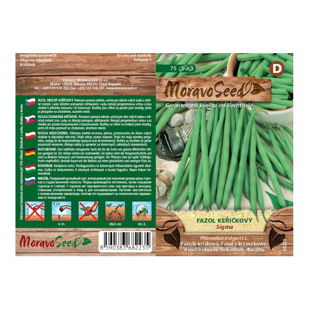 vorne und hintenSaatgut MoravoSeed Strauchbohne SIGMA, grün, 60er