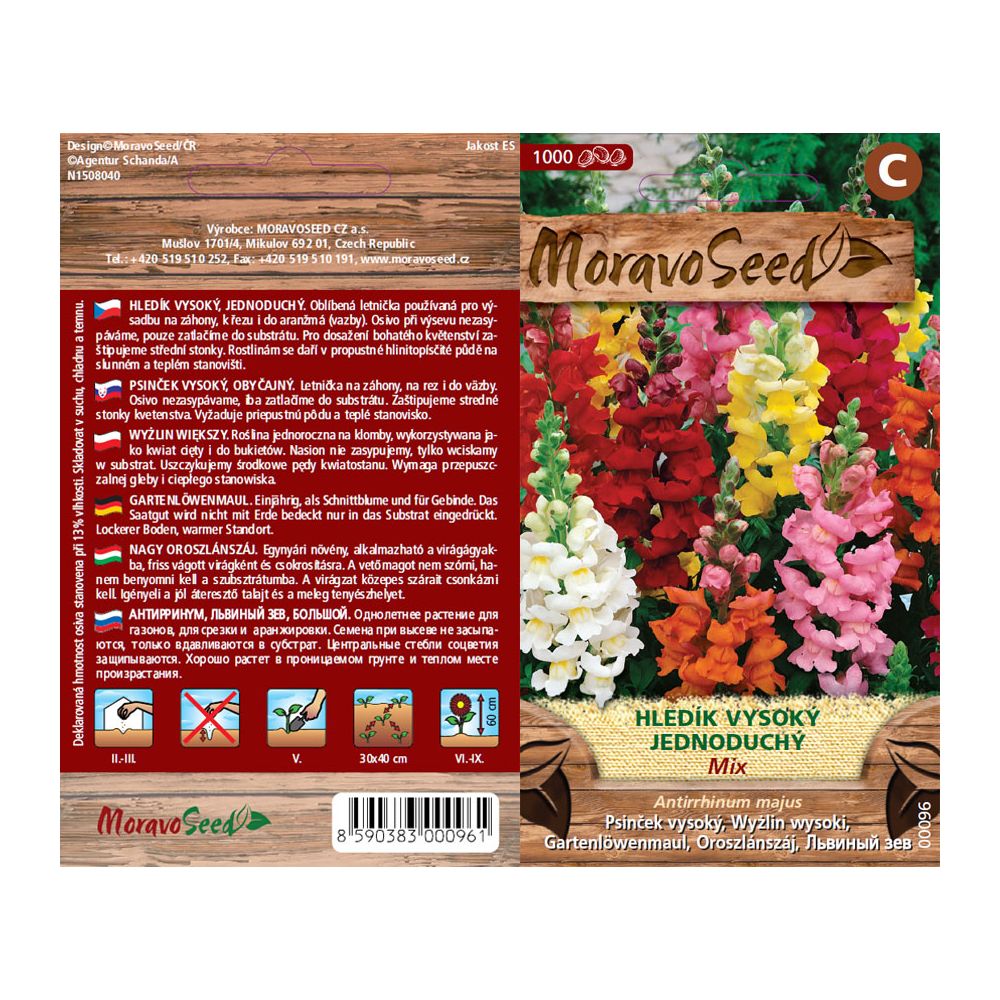 vorder- und Rückseite MoravoSeed Sucher größer groß einzeln, zusammengesetzt, 1000er