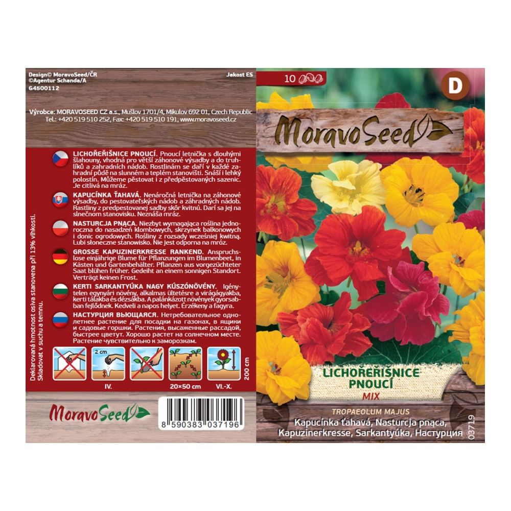 vorder- und MoravoSeed LichenLichorea, größer, vollblütig, gemischt, 10er