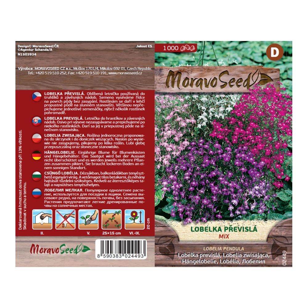 vorne und hintenSeminka MoravoSeed Lobelka überhängend, Verbund, 1000er