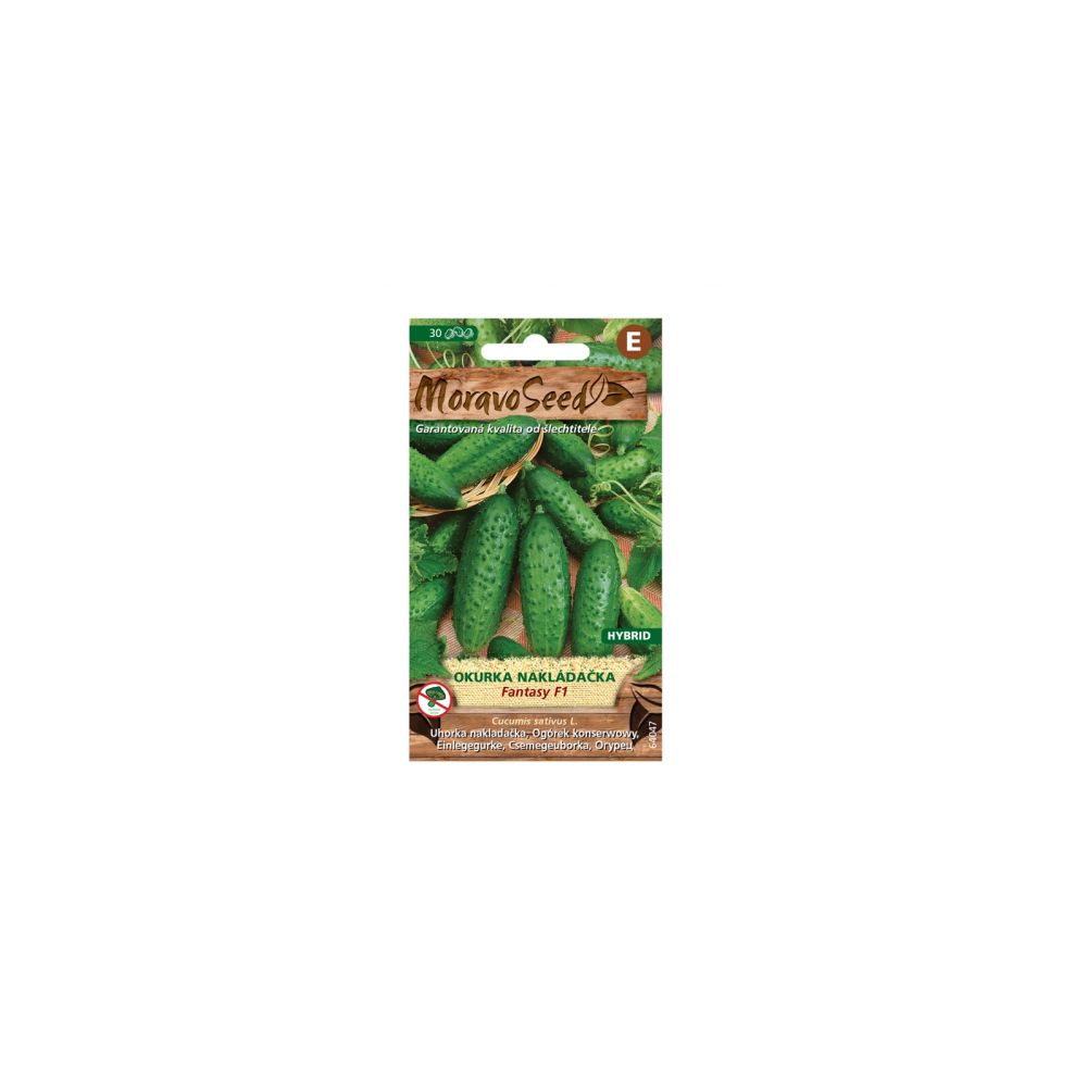 Samen MoravoSeed FANTASY F1 Einlegegurke - Hybrid, 30er Jahre