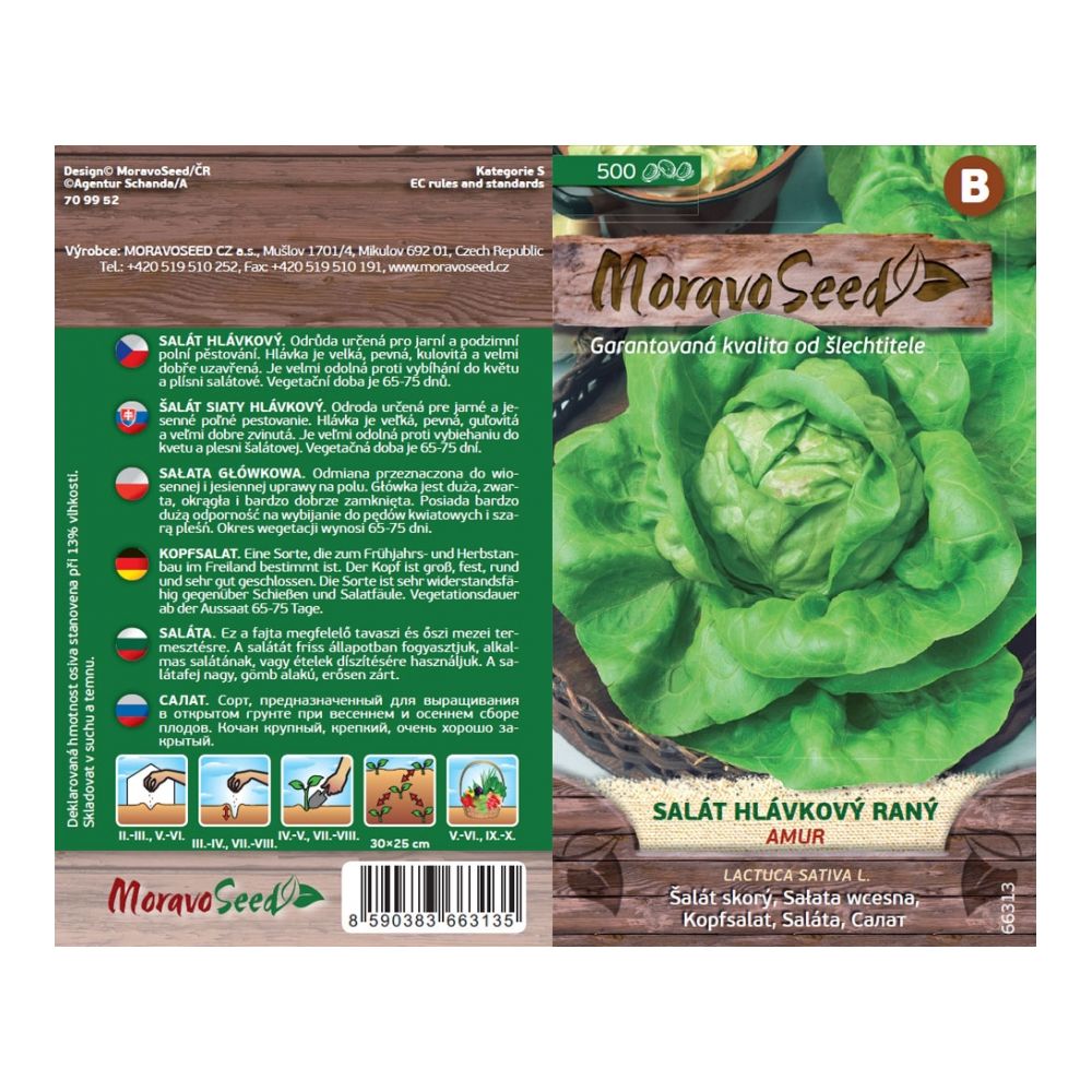 vorder- und MoravoSeed Kopfsalat früh AMUR, 500s