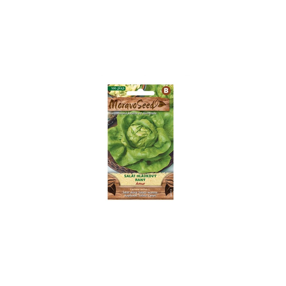 Samen MoravoSeed Kopfsalat frühes AMUR, 500er