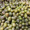 Mungobohnen auf Microgreens, 100 g