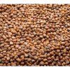 Rettich China Rose auf Microgreens, 1 kg