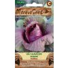 Samen MoravoSeed Spätlagerkohl KALIBOS, rot 67682