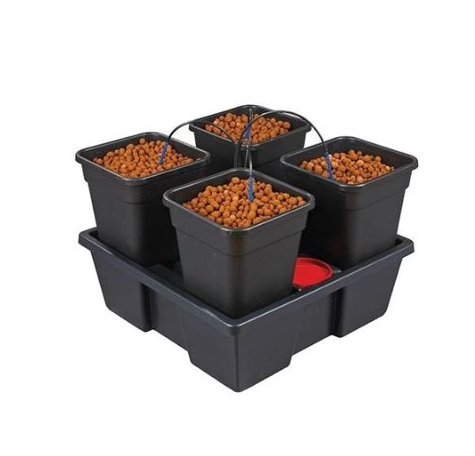 Get started with hydroponics! 4 hydroponic systems suitable for beginners