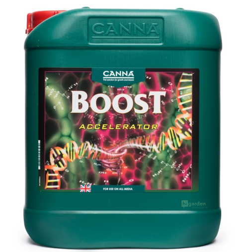 How to Increase Terpene Content in the Harvest?