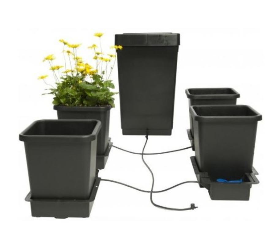 Tips for growing with AutoPot irrigation systems