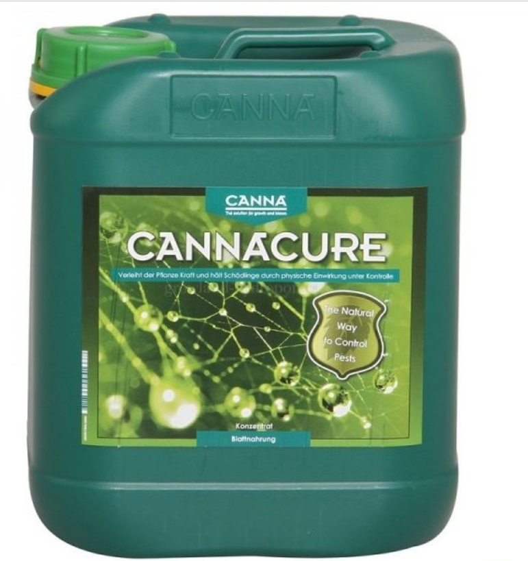 How to manage plant diseases?