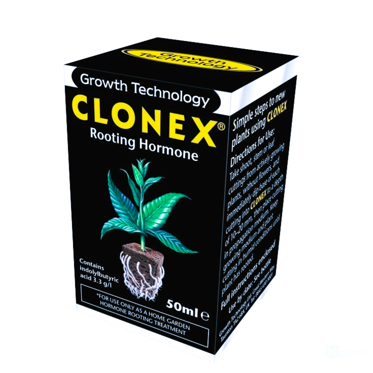 When and How to Use Root Stimulators