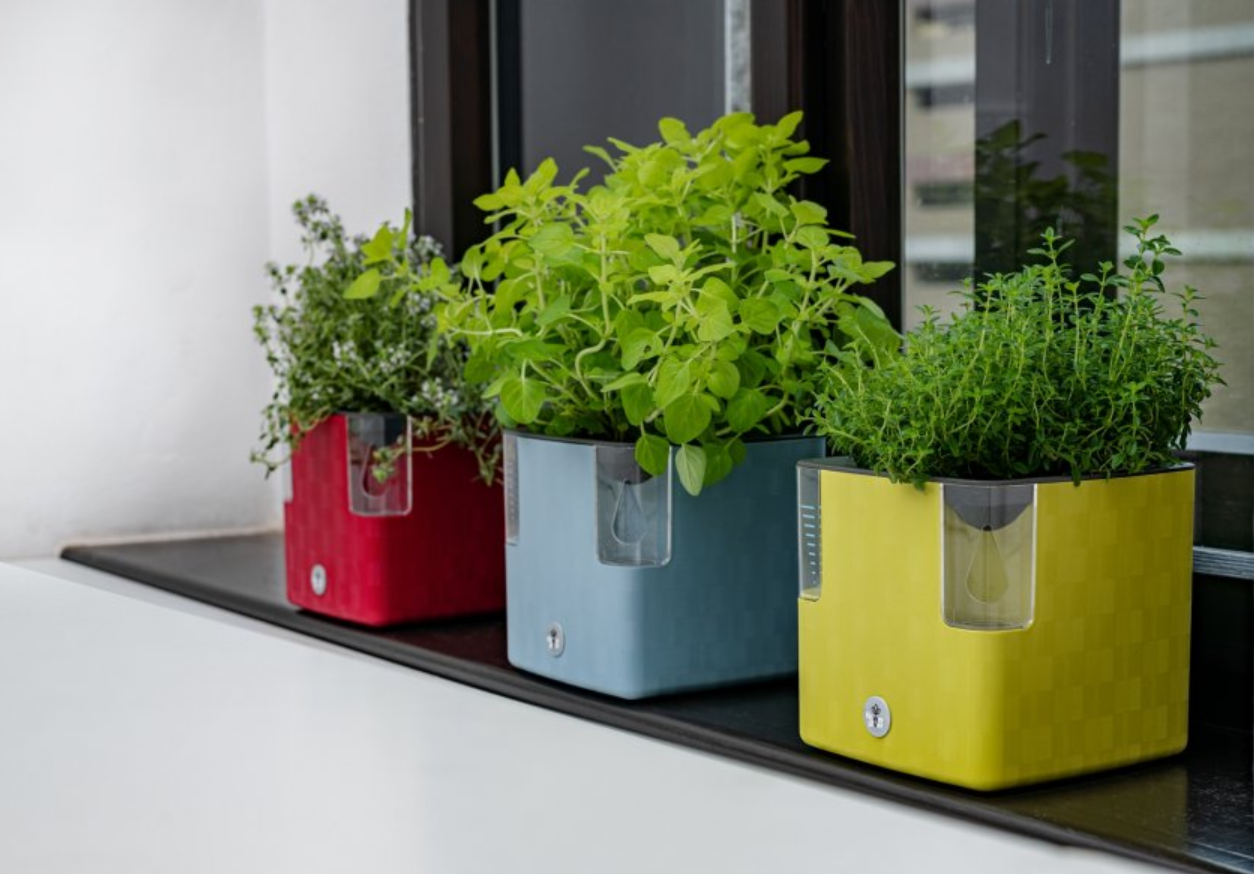 Decorative, Hanging and Smart Planters
