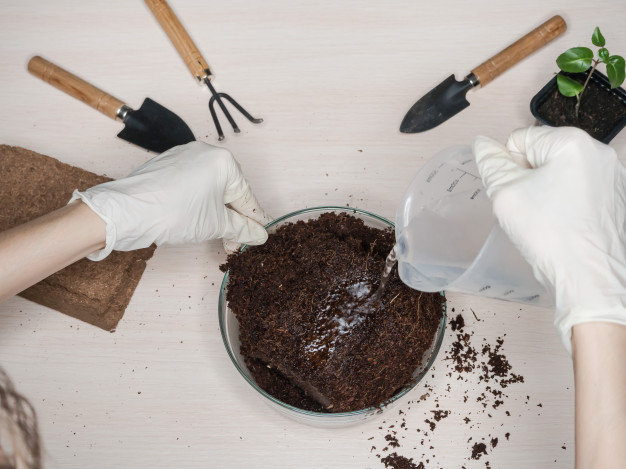 Don't hesitate to reuse coconut substrate