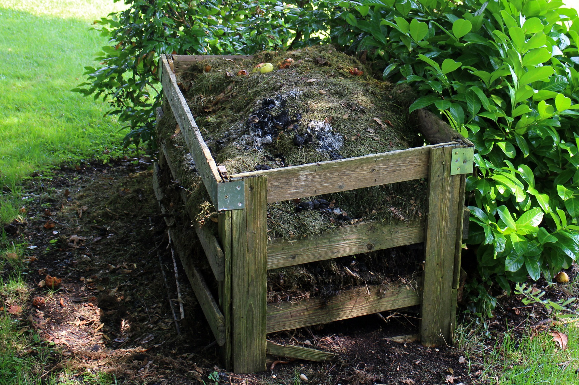 Compost Teas: Microbial Elixirs to Revive the Soil in Your Garden