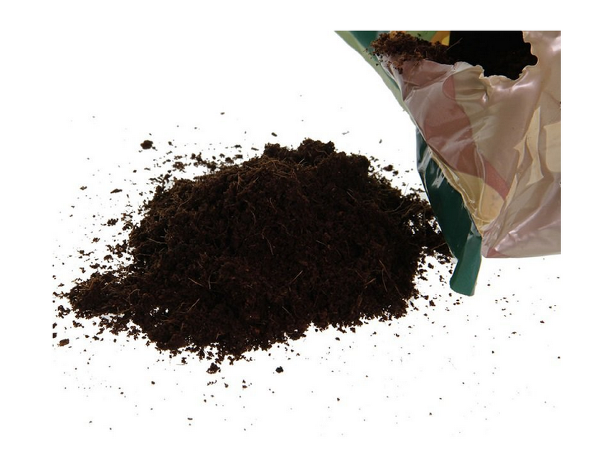 How and Why to Revitalize Substrate?