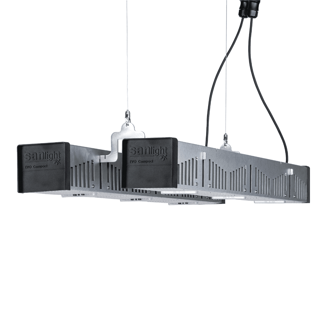 Sanlight Grow Lighting – Uncompromising Austrian Quality for Your Grow Room