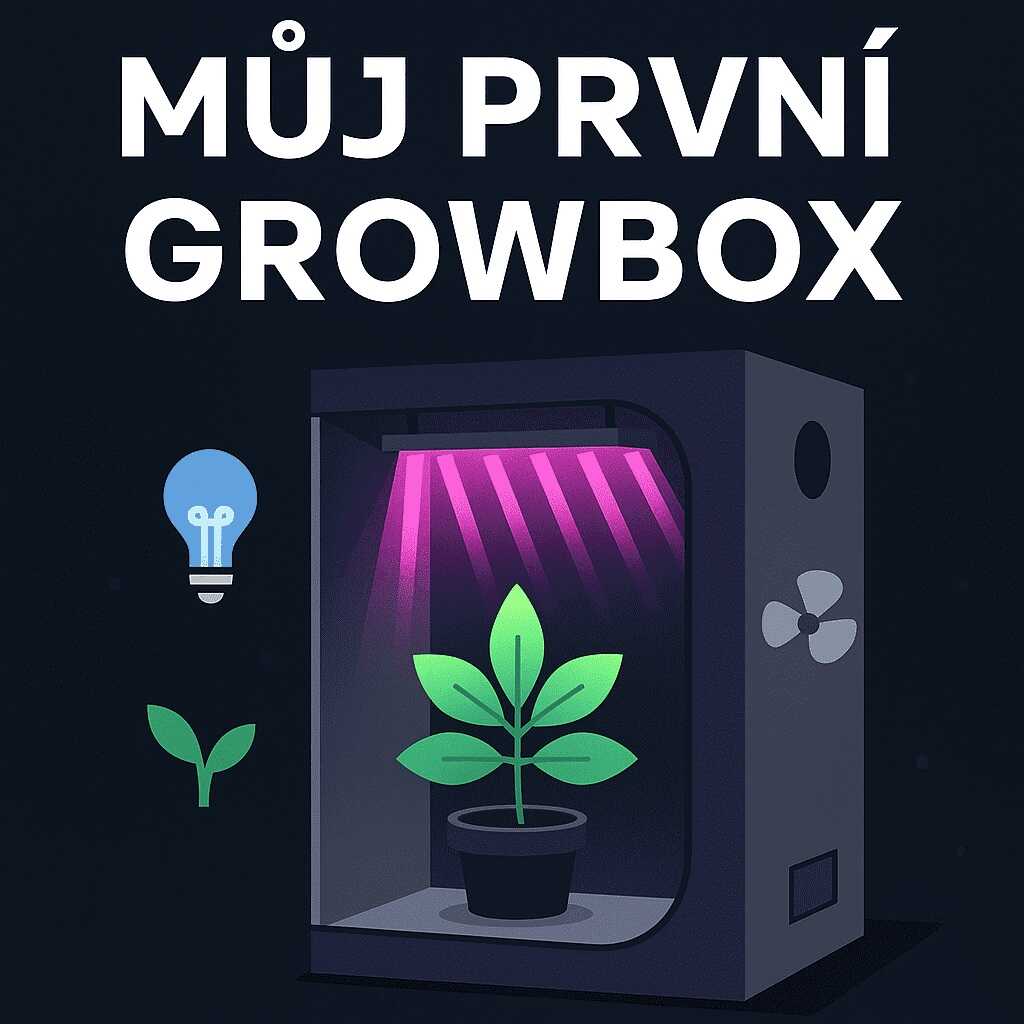 My First Growbox: Equipment for Beginner Indoor Growers