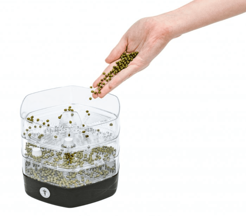 Germination trays are in demand — choose Czech quality!