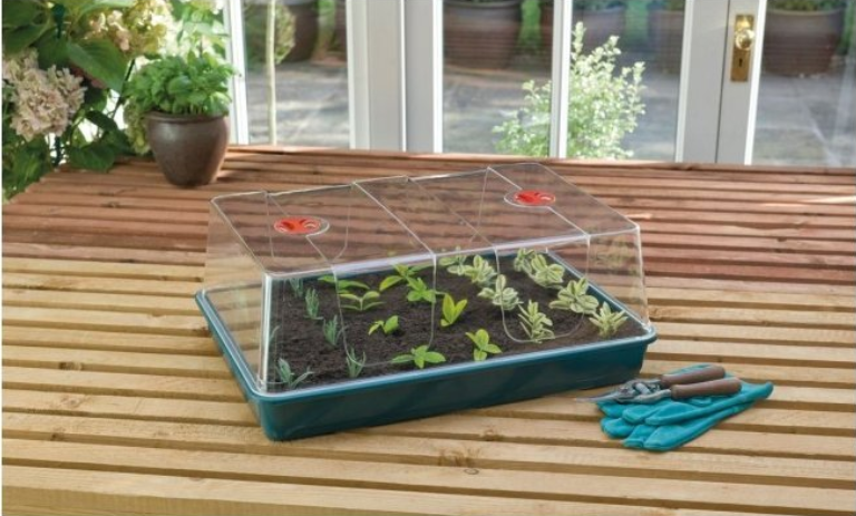 How to Simplify Plant Propagation?