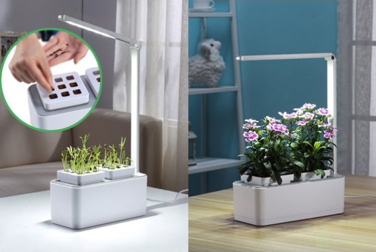 Lighting for Plants – What to Use and How to Supplement Light?