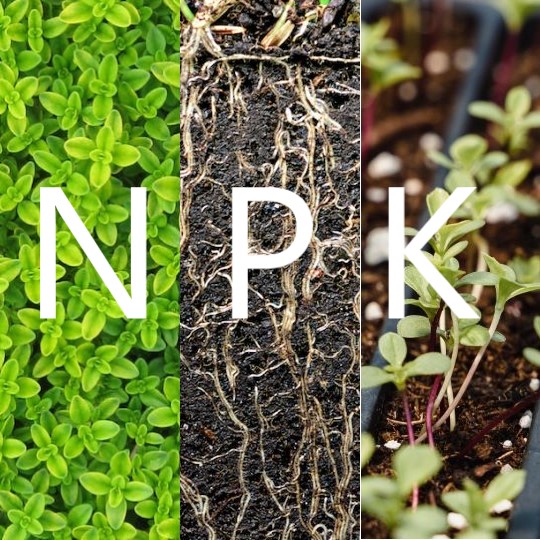 What is NPK?