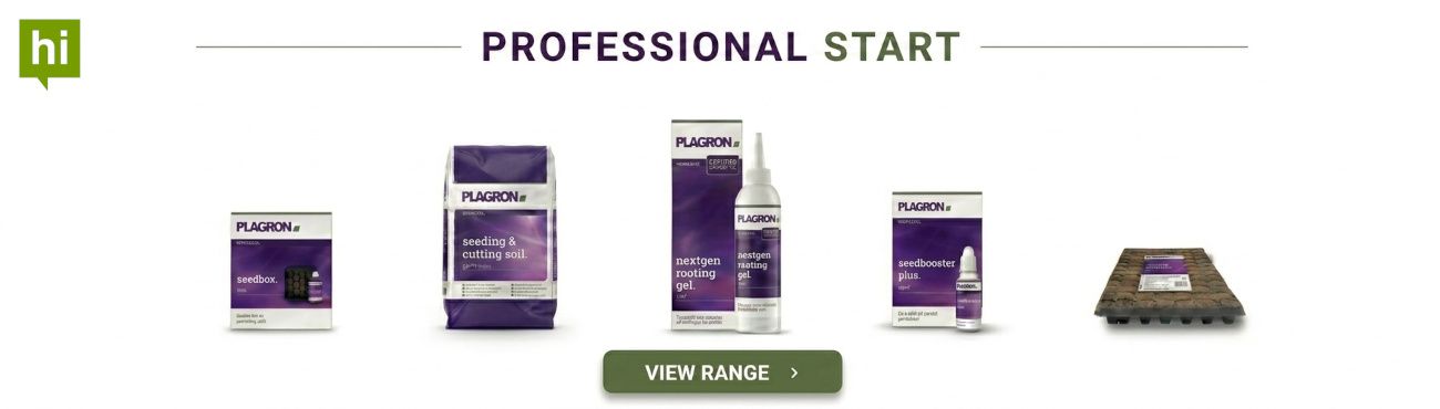 Cloning and Planting Plagron