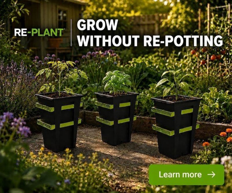 REPLANT POT