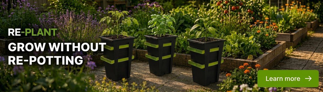 REPLANT POT