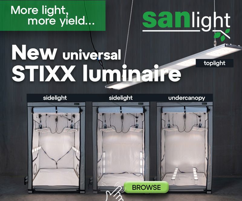 sanlight stixx