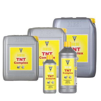 TNT Complex