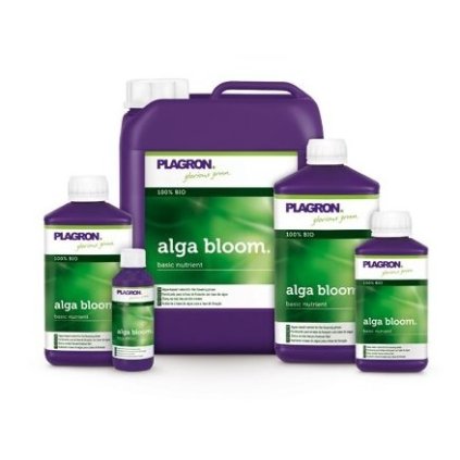 Alga Bloom