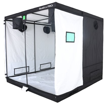 WHITE TITAN PLUS HL (1)a