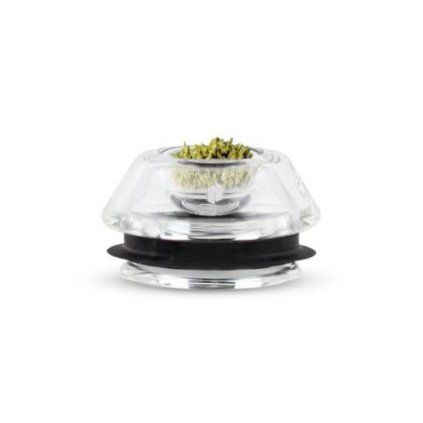 herba