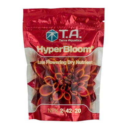 Hyperbloom fondIMG 8088 2