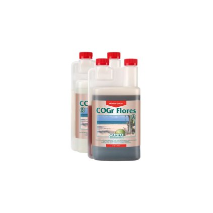 35579 canna cogr flores a b 10l