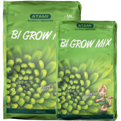 bigrou