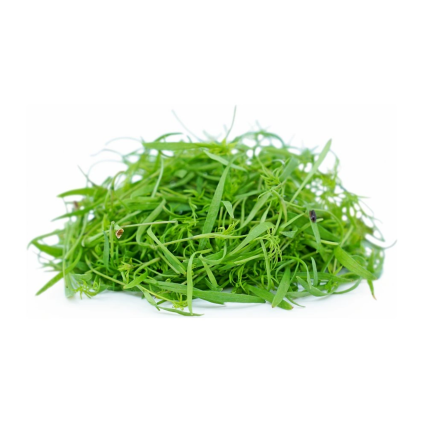 kopr
