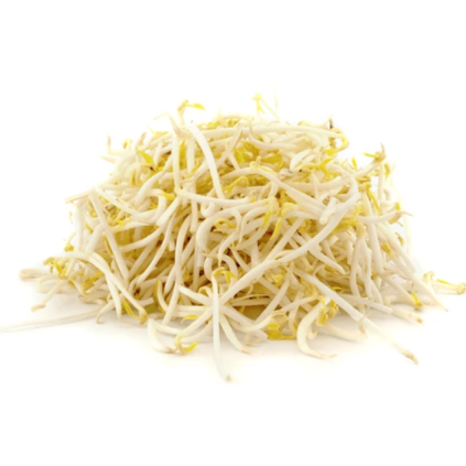 mungo bean