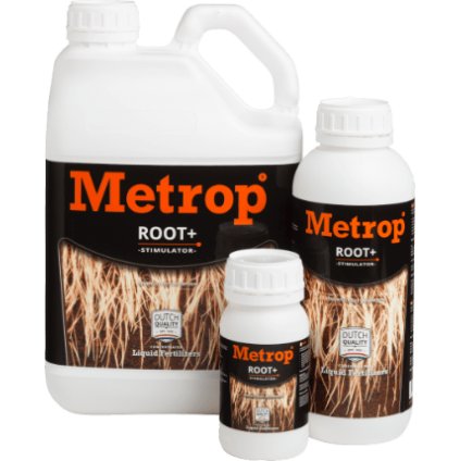 Metrop ROOT+