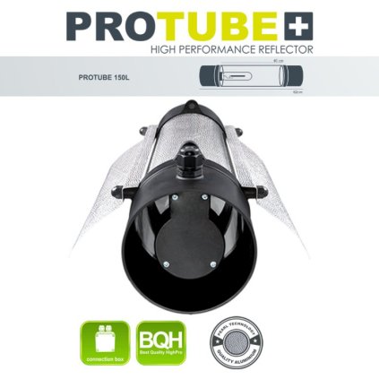 protubeL