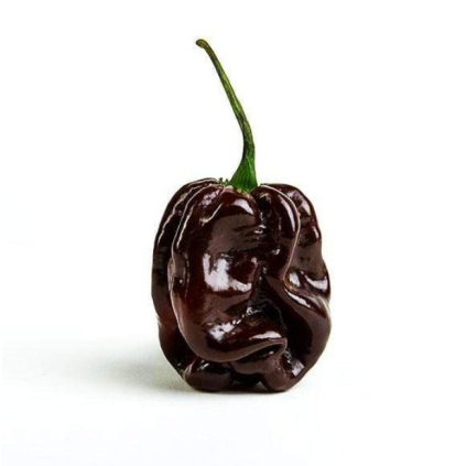 28041 haba choco