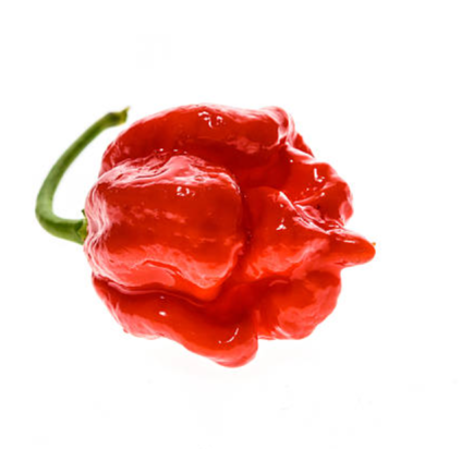 28062 moruga