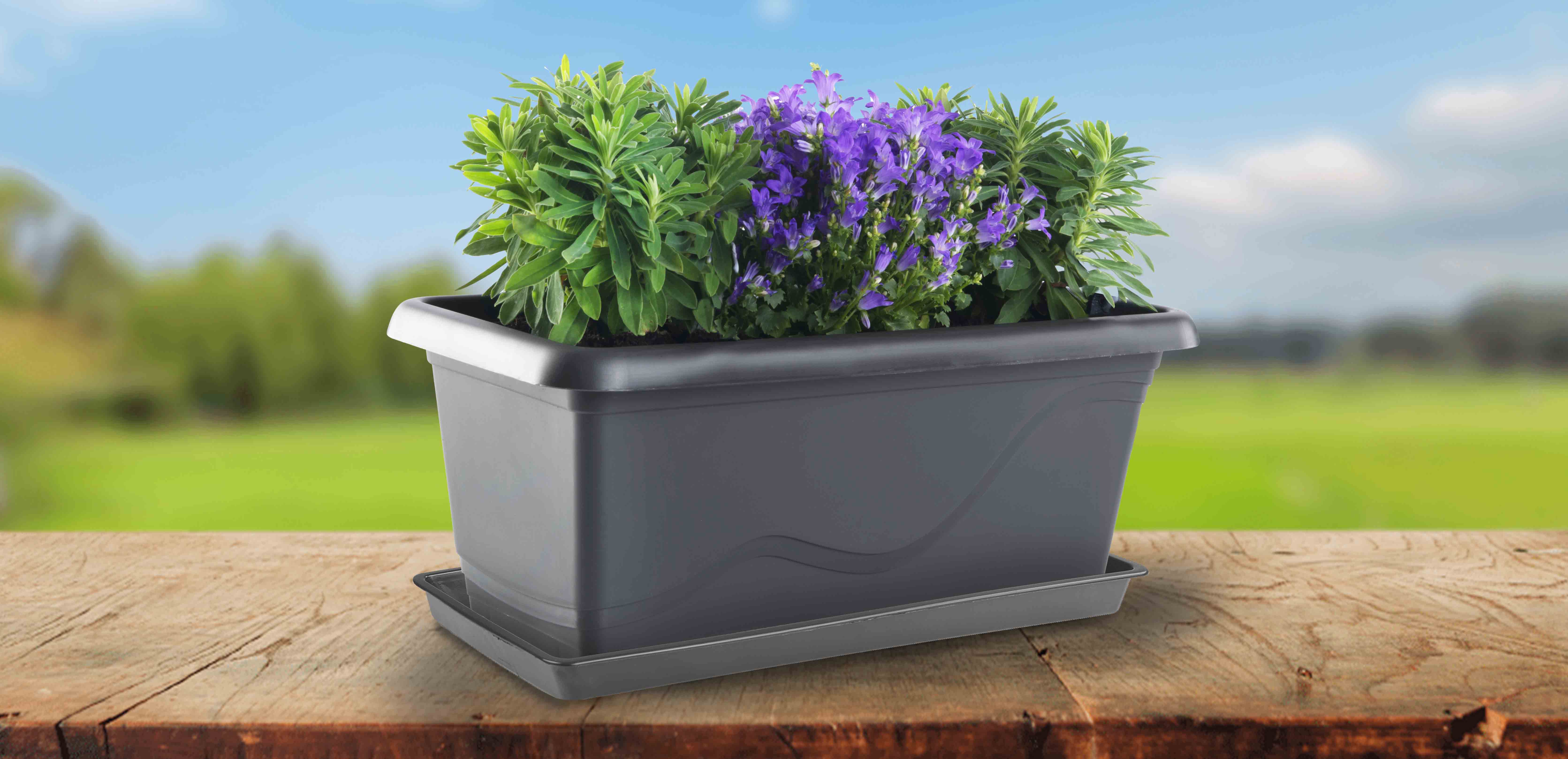 Extra flor anthracite 01