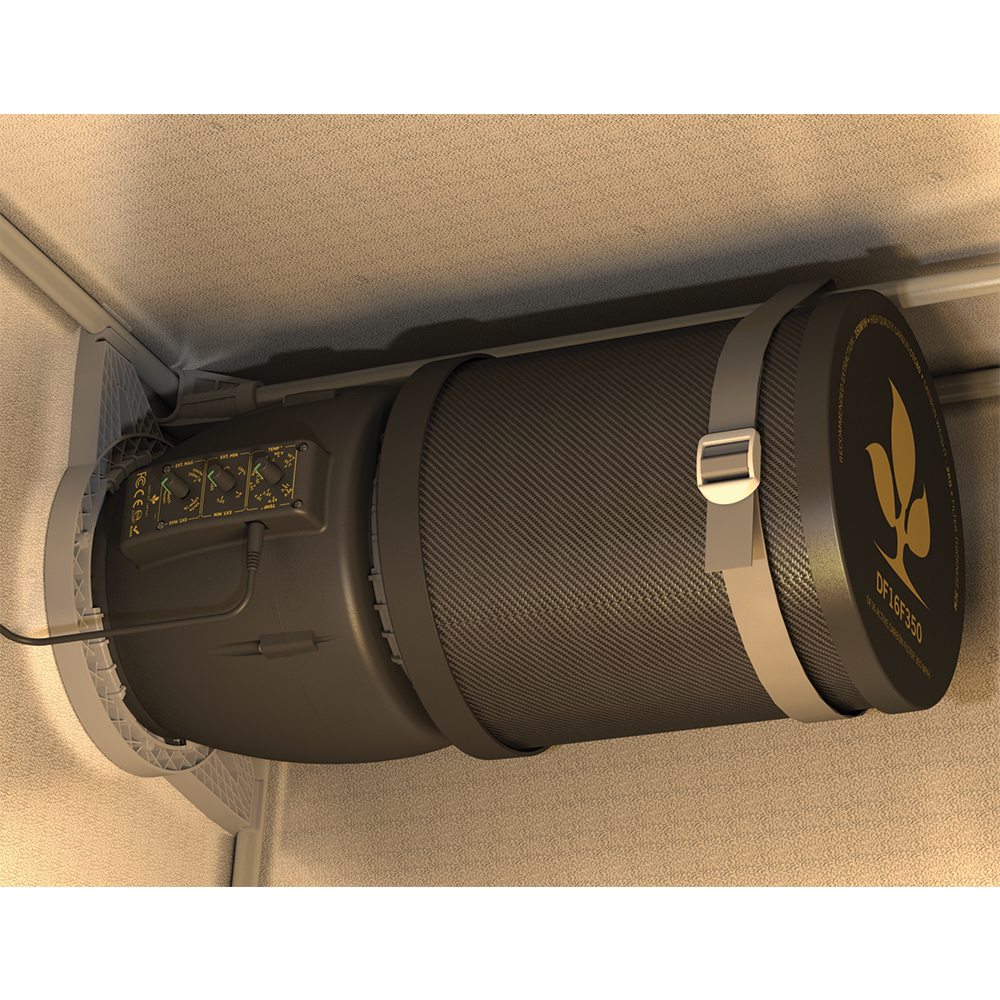 PICTURE 3D IN TENT 1 (1)