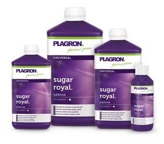 Sugar Royal