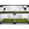 11670 13 probox propagator xl 120x40x200cm