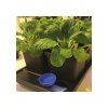 AutoPot Auto8 sistema con vasi da 15 l, senza serbatoio