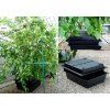 Amazon pro 8 rostlin, nádrž 50l Foto2