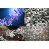 48099 2 bionova living soil 220g